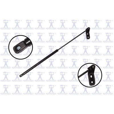 FCS Auto 84840 Liftgate Lift Support, Rear Left Driver Side