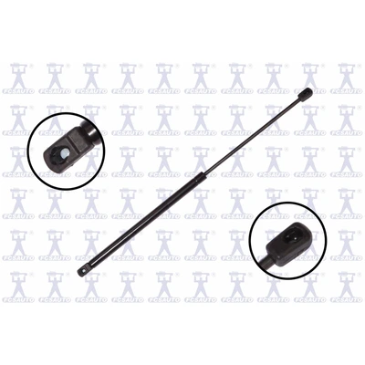 FCS Auto 84879 Tailgate Lift Support