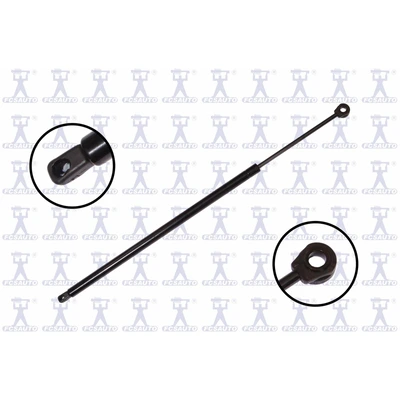 FCS Auto 84897 Liftgate Lift Support, Rear Side