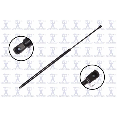 FCS Auto 84903 Liftgate Lift Support, Rear Left Driver Side