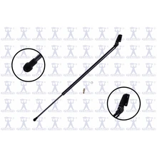 FCS Auto 84910 Liftgate Lift Support, Rear Left Driver Side