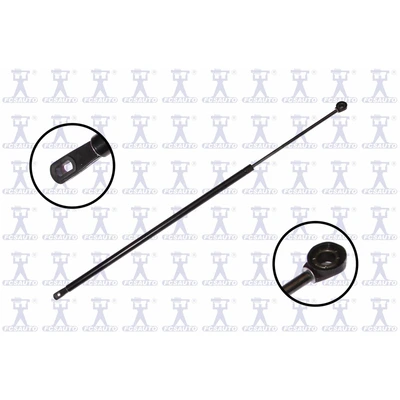 FCS Auto 84967 Liftgate Lift Support, Rear Side