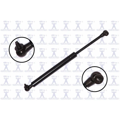 FCS Auto 84135 Liftgate Lift Support, Rear Side