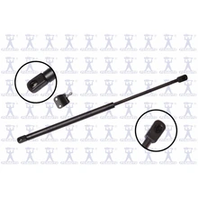 FCS Auto 84194 Liftgate Lift Support, Rear Side