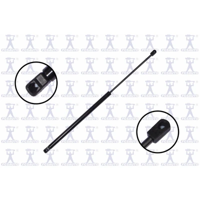FCS Auto 84205 Tailgate Lift Support