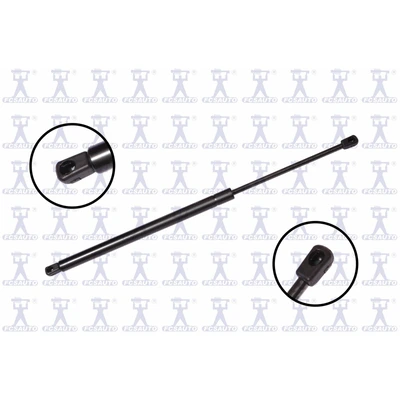 FCS Auto 84287 Liftgate Lift Support, Rear Side