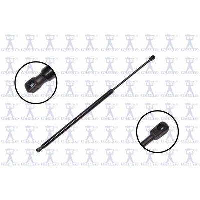 FCS Auto 86660 Tailgate Lift Support