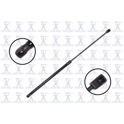 FCS Auto 86757 Hood Lift Support