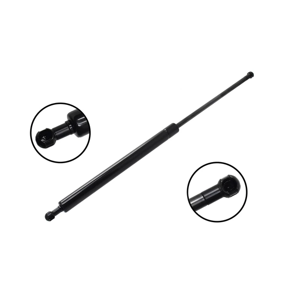 FCS Auto 86832 Liftgate Lift Support