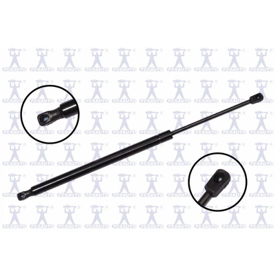 FCS Auto 86888 Liftgate Lift Support