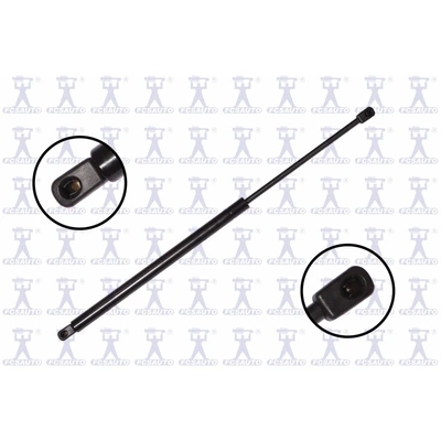 FCS Auto 86151 Liftgate Lift Support, Rear Side
