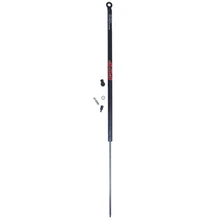 FCS Auto 86229 Liftgate Lift Support, Rear Side