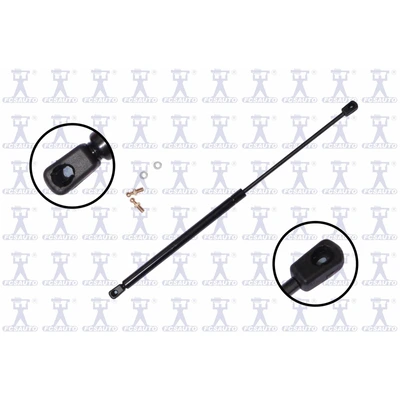 FCS Auto 86237 Tailgate Lift Support