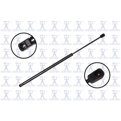FCS Auto 86243 Liftgate Lift Support