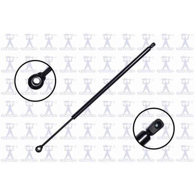 FCS Auto 86268 Liftgate Lift Support, Rear Side