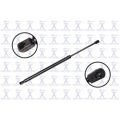 FCS Auto 86381 Liftgate Lift Support, Rear Side