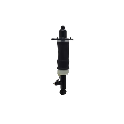 FCS Auto 99002 Air Suspension Strut, Rear Left Driver Side