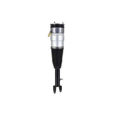 FCS Auto 99086 Air Suspension Strut, Front Side