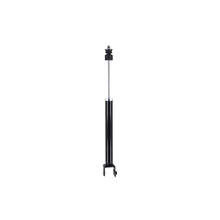 FCS Auto DT346853 Suspension Shock Absorber, Rear Side