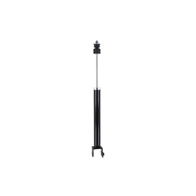 FCS Auto DT346853 Suspension Shock Absorber, Rear Side