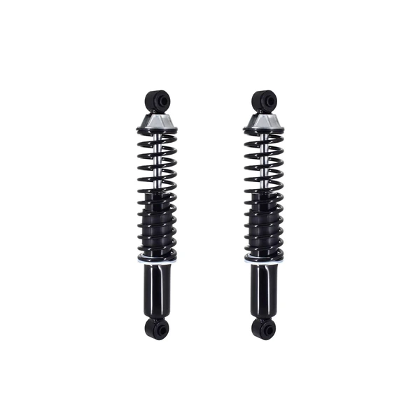 FCS Auto SC00042 Suspension Shock Absorber and Coil Spring Assembly, Rear Side