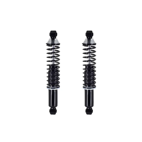 FCS Auto SC00042 Suspension Shock Absorber and Coil Spring Assembly, Rear Side