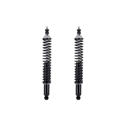 FCS Auto SC00043 Suspension Shock Absorber and Coil Spring Assembly, Rear Side