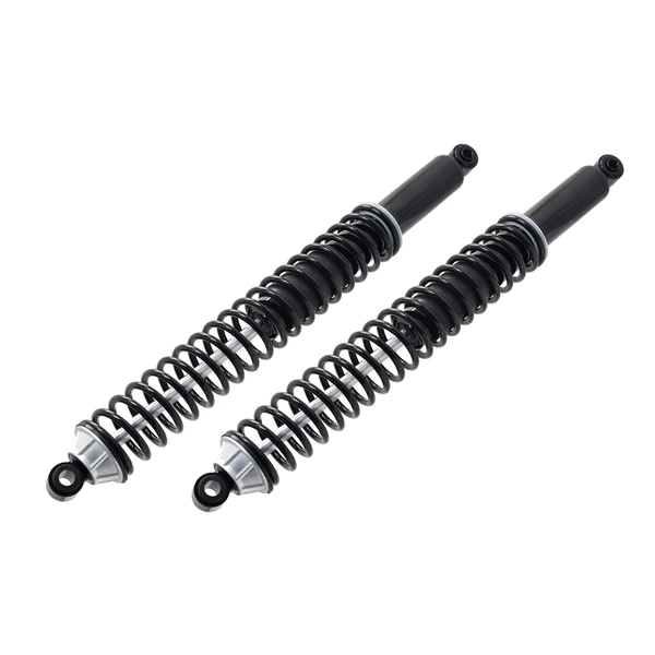 FCS Auto SC00046 Suspension Shock Absorber and Coil Spring Assembly, Rear Side