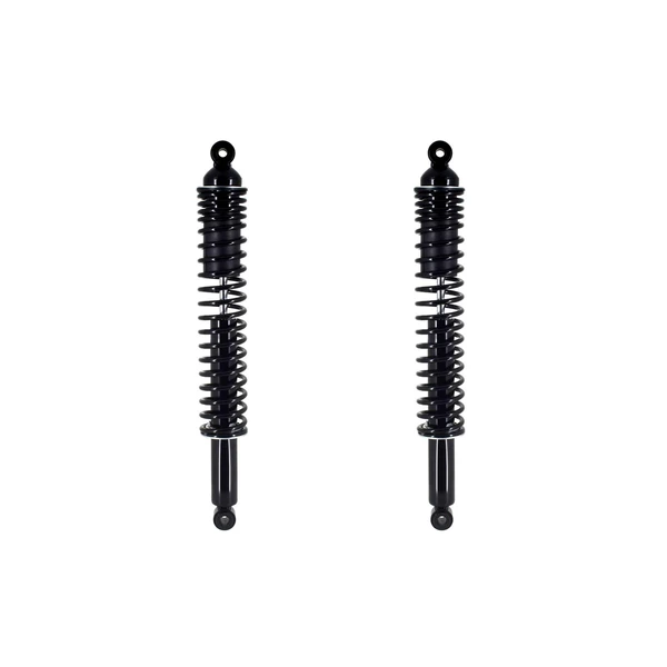 FCS Auto SC00050 Suspension Shock Absorber and Coil Spring Assembly, Rear Side