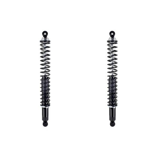 FCS Auto SC00005 Suspension Shock Absorber and Coil Spring Assembly, Rear Side