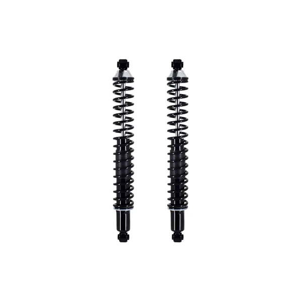 FCS Auto SC00010 Suspension Shock Absorber and Coil Spring Assembly, Rear Side