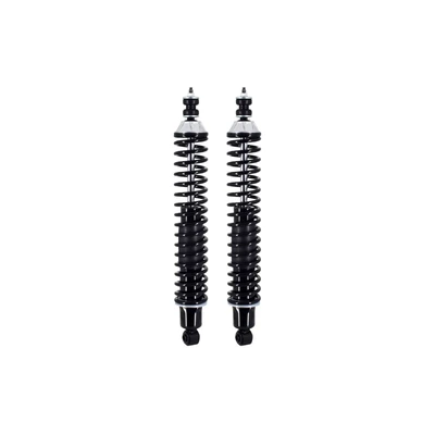 FCS Auto SC00012 Suspension Shock Absorber and Coil Spring Assembly, Rear Side
