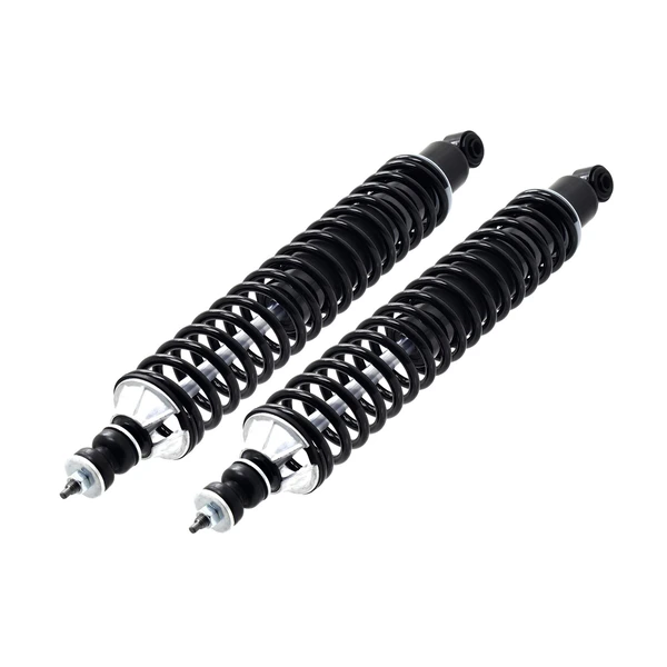 FCS Auto SC00012 Suspension Shock Absorber and Coil Spring Assembly, Rear Side