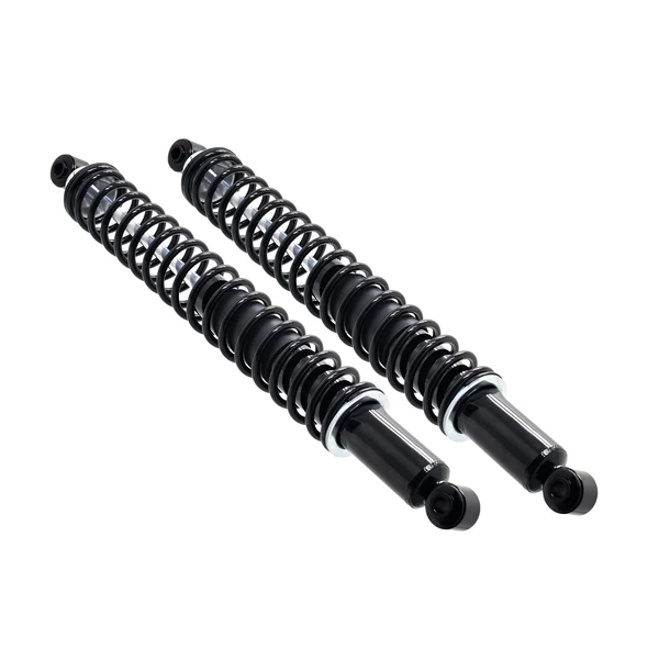 FCS Auto SC00017 Suspension Shock Absorber and Coil Spring Assembly, Rear Side