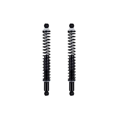 FCS Auto SC00017 Suspension Shock Absorber and Coil Spring Assembly, Rear Side