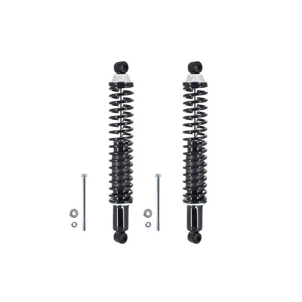 FCS Auto SC00019 Suspension Shock Absorber and Coil Spring Assembly, Rear Side