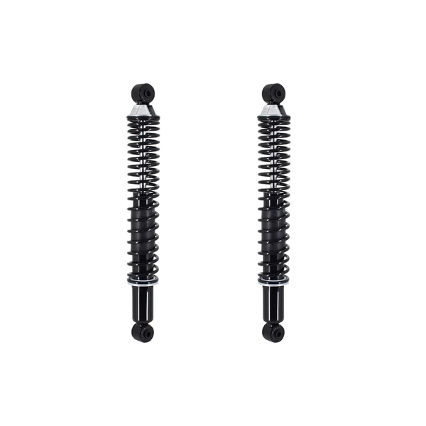 FCS Auto SC00020 Suspension Shock Absorber and Coil Spring Assembly, Rear Side
