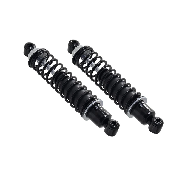 FCS Auto SC00021 Suspension Shock Absorber and Coil Spring Assembly, Rear Side