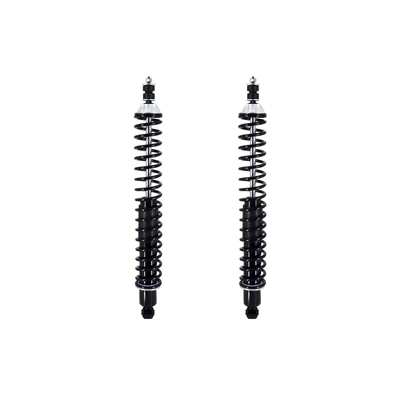 FCS Auto SC00036 Suspension Shock Absorber and Coil Spring Assembly, Rear Side