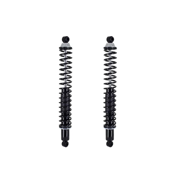 FCS Auto SC00039 Suspension Shock Absorber and Coil Spring Assembly, Rear Side
