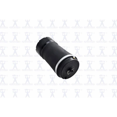 FCS Auto Q4004 Air Suspension Spring, Rear Side
