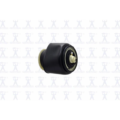 FCS Auto Q4005 Air Suspension Spring, Rear Side