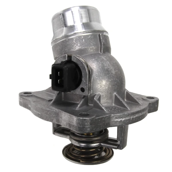 Engine Coolant Thermostat - Mahle TM 12 105