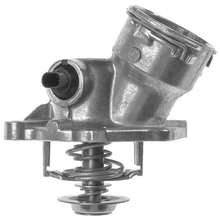 Engine Coolant Thermostat - Mahle TM 29 100D