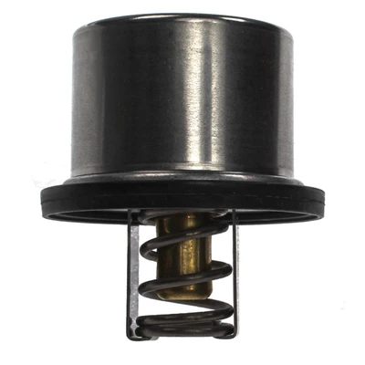 Engine Coolant Thermostat - Mahle THD 1 79