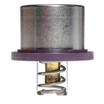 Engine Coolant Thermostat - Mahle THD 2 89