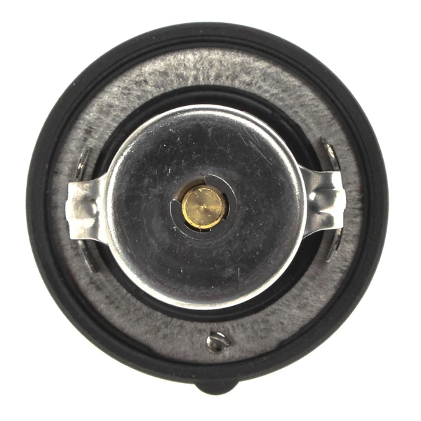 Engine Coolant Thermostat - Mahle TX 71 82D