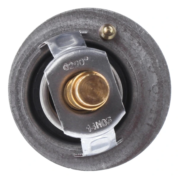 Engine Coolant Thermostat - Mahle TX 106 90D