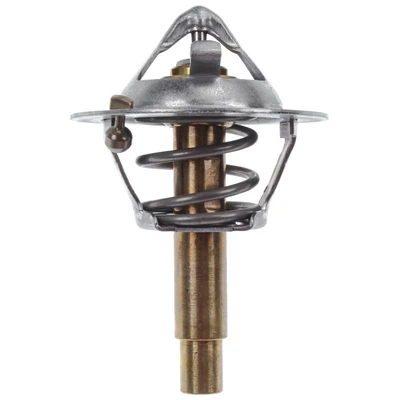 Engine Coolant Thermostat - Mahle TX 106 90D
