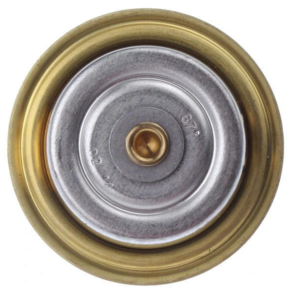 Engine Coolant Thermostat - Mahle TX 109 87D